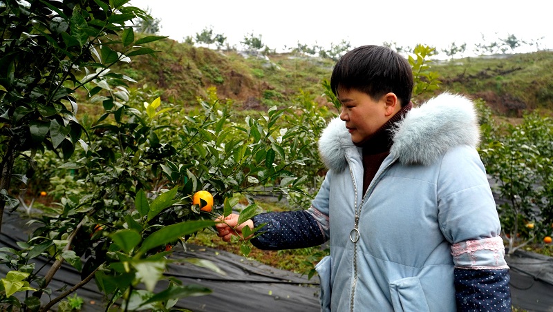 1646211285.jpg 图片.png