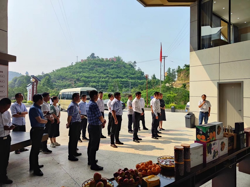 1684287250.jpg 图片.png