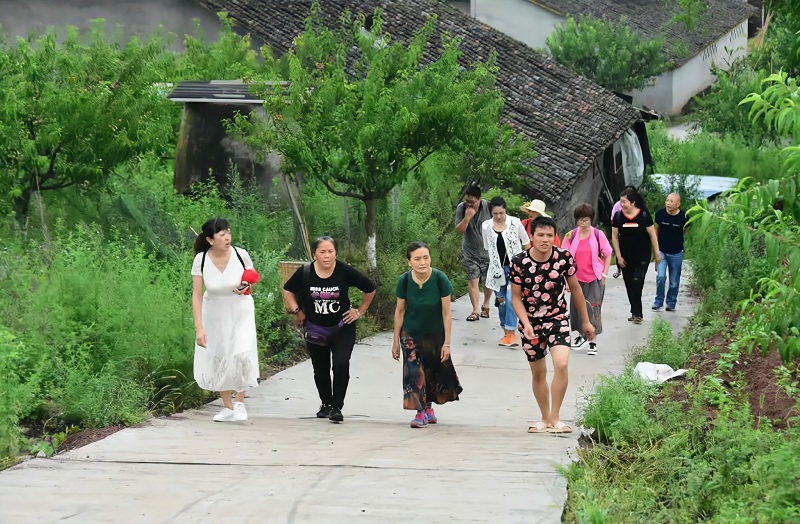 1694050994.jpg 图片.png