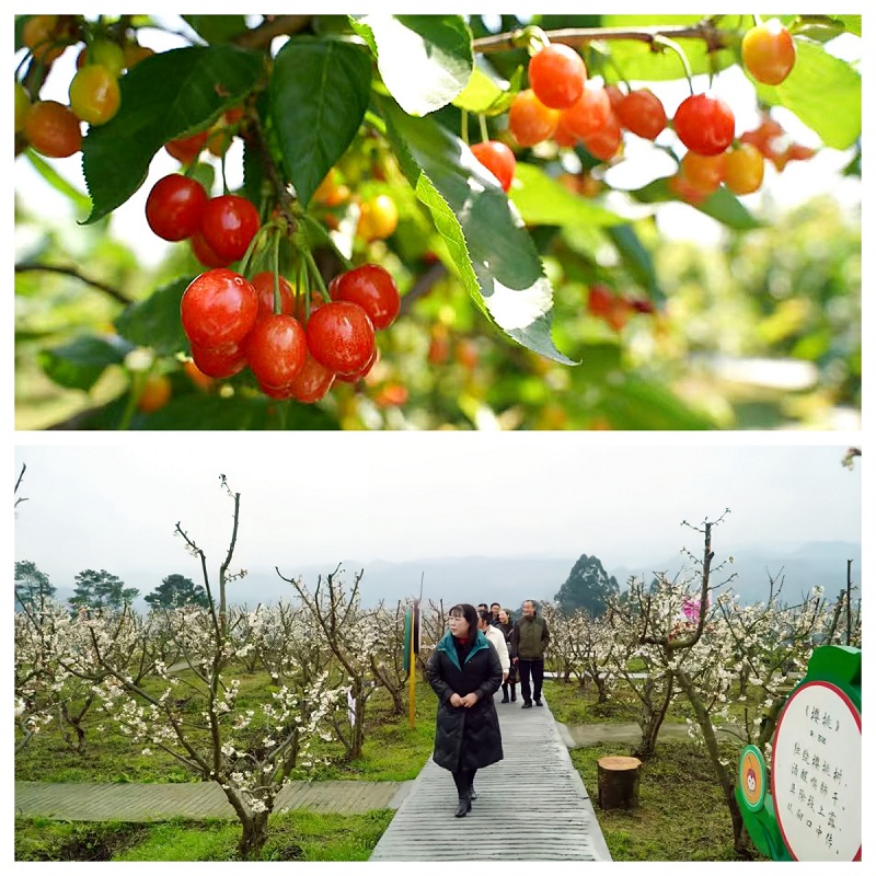 1701846189.jpg 图片.png