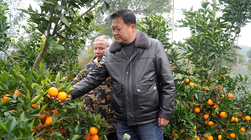 1703729076.jpg 图片.png