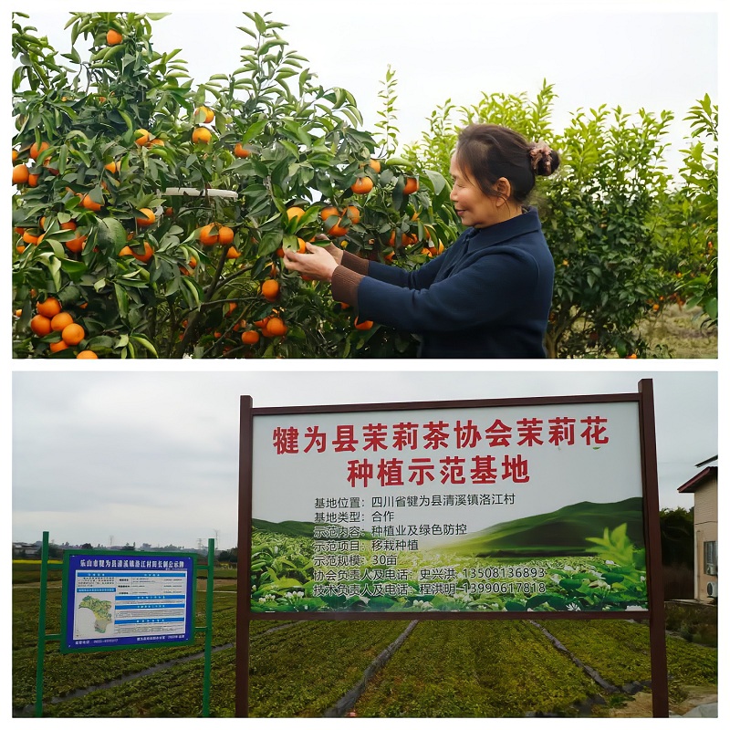 1715670349.jpg 图片.png