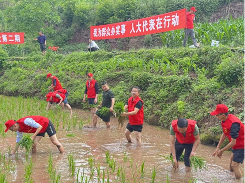 1750147495.jpg 图片.png